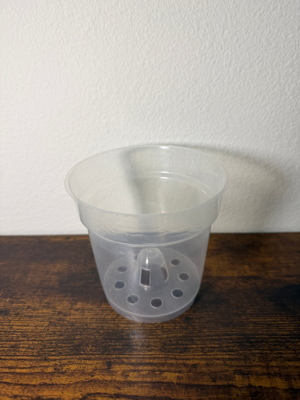 Clear Orchid Pot with Elevated Drainage Cone